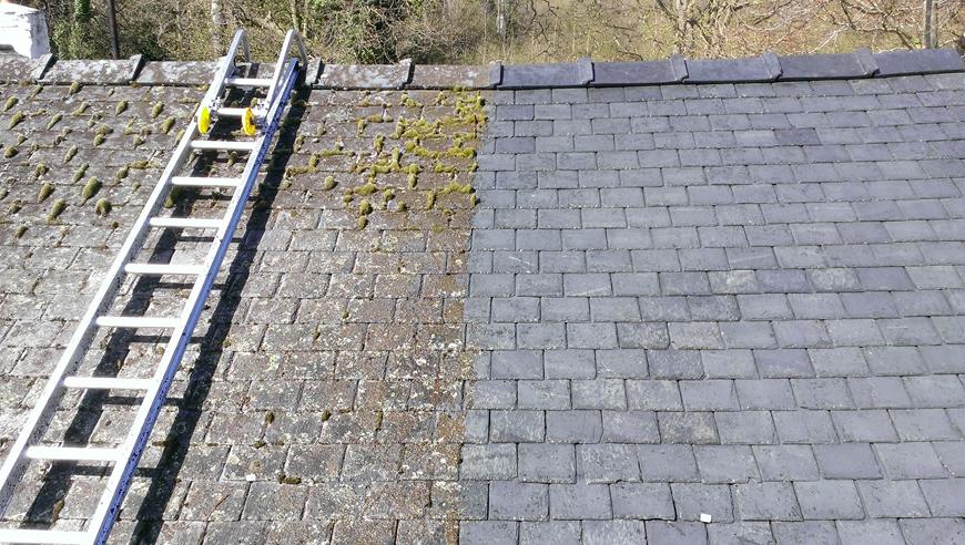Roof demossing service — moss and lichen removal from residential roof in Surrey BC