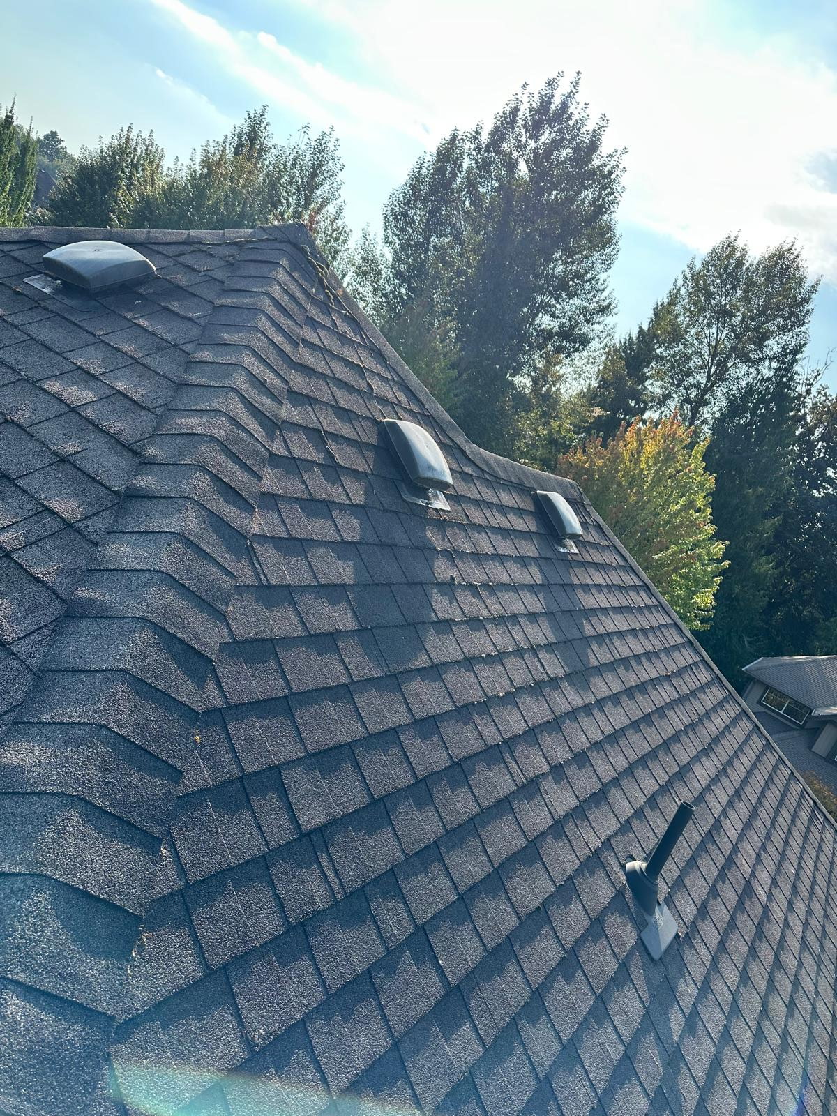A grey asphalt shingle roof in good condition with ridge vents, photographed from the roofline.